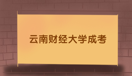 云南财经大学成考专业有哪些？