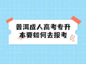 普洱成考专升本报名