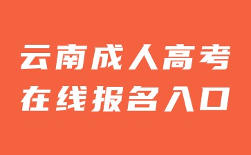 2024年云南成人高考在线报名入口官网