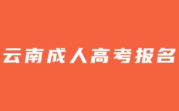 2024年参加云南高考还能报名成人高考吗？