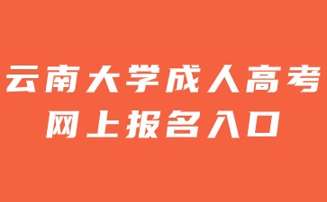 2024年云南大学成人高考网上报名入口是那个？