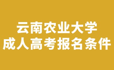 2024年云南农业大学成人高考报名条件说明