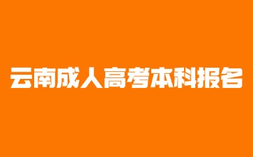 2024年云南成人高考本科报名要提供哪些材料?