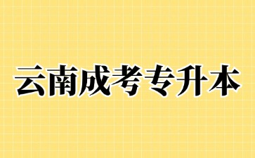 2024年云南省成人高考专升本有哪些优势?