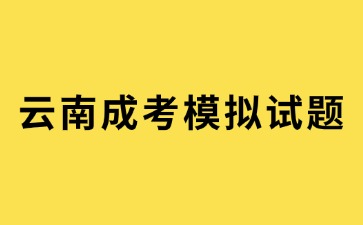 2024年云南成考高起点《语文》模拟试题练习题及答案（3）